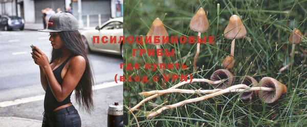 марки lsd Аркадак
