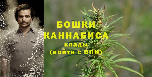 хмурый Каменногорск