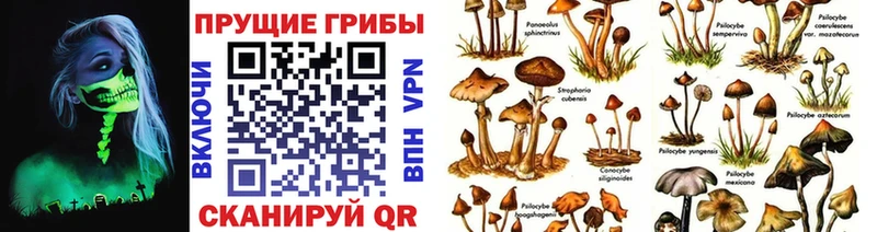Псилоцибиновые грибы прущие грибы где купить наркотик Таруса